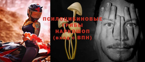 прущие грибы Лабытнанги