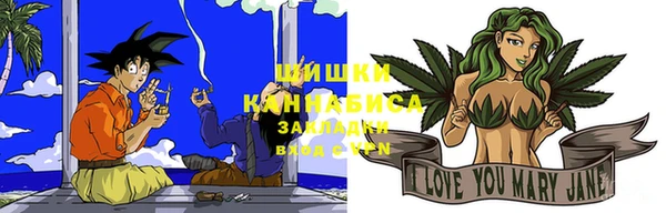 шишки Лагань