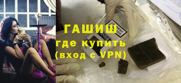 прущие грибы Лабытнанги