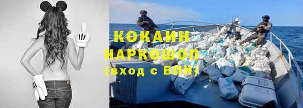 прущие грибы Лабытнанги