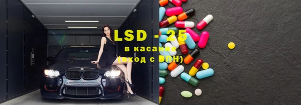 прущие грибы Лабытнанги