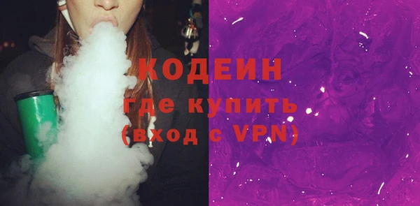 прущие грибы Лабытнанги