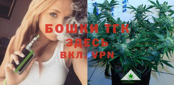 шишки Лагань