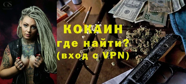 прущие грибы Лабытнанги