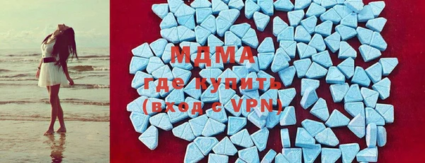 прущие грибы Лабытнанги