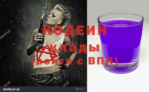 шишки Лагань