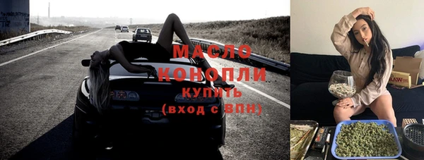 прущие грибы Лабытнанги